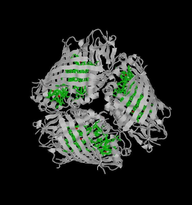 FMO photosynthetic complex